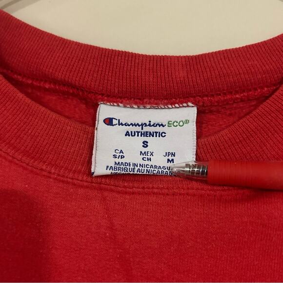 Champion Hanover College Panthers Sweatshirt - Picture 3 of 3